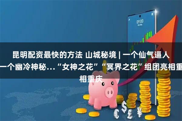 昆明配资最快的方法 山城秘境 | 一个仙气逼人，一个幽冷神秘…“女神之花”“冥界之花”组团亮相重庆